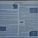 <b>Fattori ecologici e adattamenti delle piante d'alta quota.</b>