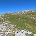 Mittagspause auf der Hochblasse.
