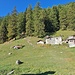 alpe croce