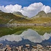 riflessi...