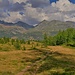 ampia e verde