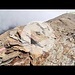 <b>Tracciato GPS 3D Monte Sobretta.</b>