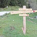 auf dem Weg zur Gaudeamushütte - Holzwegweiser an der Variantenabzweigung Wald-Wilderer-Steig im Schatten (Rundweg möglich)