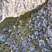 mal mehr, mal weniger gut erkennbare Schrofenroute - einfach auf die Markierungen schauen genügt