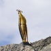 Die Madonna im Fokus
