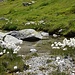 bei Tälliboden