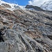 In diesem Abschnitt, der vor nicht so langer Zeit noch vom Gletscher bedeckt gewesen sein dürfte, verläuft der blauweiss markierte Wanderweg in felsiger Landschaft