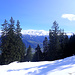 Unten Herbst- oben Winter