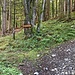 Abzweig zum untinteressanten Wasserfall