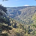 Blick in den Kessel, um welchen der Alpine Pfad früher noch herumführte, jetzt aber zum Schutz von Auerwild gesperrt ist.