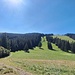 Ein kurzer Abstecher für einen sonnig, warmen Vesperplatz  Während dem Vesper kam ein Paar (er 87) hier vorbei und zog zügig über den Gegenhang Richtung Feldberg. Man muss bereit sein, den inneren Schweinehund zu besiegen, damit man fit bis in das hohe Alter bleibt, gab er uns mit auf den Weg.