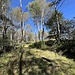 Ruscello da superare prima di arrivare ai Monti