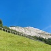 Matthorn-Vorbauten mit Verbauungen und Jungwald