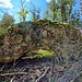 Das ca. 50 Meter langen Plateau war einst von einer Ringmauer umschlossen, innerhalb derer mehrere Gebäude standen. Heute liegen hier nur noch die gekippten Reste eines runden Bergfrieds, der wohl im 13. Jahrhundert errichtet wurde.