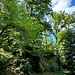 An der Ruine Hirschburg.