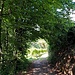 Der nächste Tunnel.