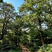 Unterwegs zur Ruine Hirschburg
