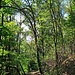 ...nach Westen aus dem Tal heraus.