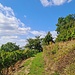 ...in die Weinberge.