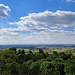 Blick über die Rheinebene.