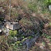 Die Ruine auf dem Schanzenköpfle liegt in knapp Metern Höhe auf einem Sporn der Hohen Waid. Man vermutet, dass die Burg um 1100 gebaut wurde und damit eine der ältesten Höhenburgen der Region war. Sie war von einem Graben sowie einer Ringmauer umschlossen, die heute noch an zwei Stellen sichtbar ist.