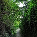 Wir bogen dann in die Obergasse ab und verließen diese bald nach links, die Steig hinauf Richtung Wald.
