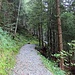 der Wanderweg nach Schuttannen
