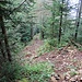 Rückblick, so schlängelt sich der Wanderweg dem Grat entlang nach oben.
