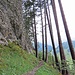 auf dem Wanderweg, am Fusse vom Gratkopf, suche ich eine Möglichkeit ihn zu besteigen.