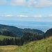 seitlicher Blick zum Bodensee am Ende vom Staufen Südgrat