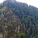 tolle Aussicht zum Fensterliwand-Steig am Bocksberg, meine Route, die Rote, der blaue Pfeil geht zur einfacheren Route,  siehe dazu mein Bericht vom, 23 Juni 2022. <br />[https://www.hikr.org/tour/post172515.html Fensterliwand-Steig]