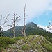 oben auf dem Gratkopf, mit Aussicht zum südlichen Staufenspitz