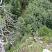Blick vom Gratkopf zum Wanderweg hinunter.