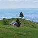 von der Alp Schuttannen hat man eine schöne Aussicht zum Bodensee