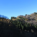 Scorcio verso il Sasso Gordona.