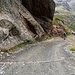 <b>Alle 10:50 riprendo la bici per il ritorno a Santa Caterina. Imbocco la stradina gippabile, che nel primo tratto si presenta con una pendenza vertiginosa, fino al 38%. </b>