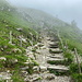 Im Aufstieg zum Kaiseregg - Im Nebel und nun steiler, teils mit Stufen hinauf zum Kaisereggpass.