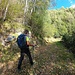 Pista tagliafuoco