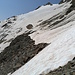 Zweiter Teil der langen Querung. Der Gletscher oben hatte super Verhältnisse, man könnte hier auch direkt Richtung Gipfel aufsteigen.