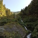dal guado vista sulla cresta percorsa