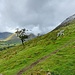 was für tolle Trails