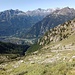 scendendo nel vallone bisogna puntare alle rocce verticali più in basso che si vedono a destra al limite superiore del bosco