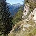 il sentiero poco prima dell'alpe Pianezza