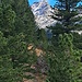 Erster Blick auf das Massiv der Kassianspitze. Der P. 2559 ist in der KOMPASS-Wanderkarte mit "Vorspitze" bezeichnet.