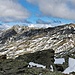 Der Sattel zwischen Getrumjoch und Kassianspitze gibt den Blick auf die Berge des Grossalmtals frei. Auf dem Schrotthorn war ich [tour189774 gestern].