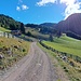 Der Fahrweg führt immer tiefer ins Tal hinein.