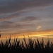 Waiting for the sun