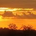 Diverse "Wolkenpferdchen"