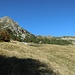 Alpe Nara