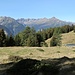 Seelein unter dem Matro